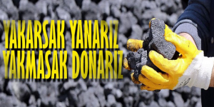 BU KIŞ ZOR GEÇECEK: Yakarsak yanarız, yakmazsak donarız