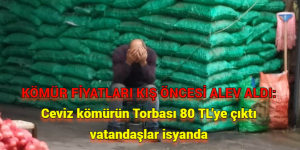 KÖMÜR FİYATLARI KIŞ ÖNCESİ ALEV ALDI: Ceviz kömürün Torbası 80 TL’ye çıktı. Vatandaşlar isyanda!