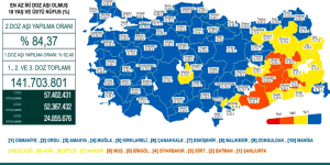 CORONAVİRÜS TABLOSUNDA BUGÜN (29 OCAK 2022)