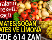 SOFRALARIN BEREKETİ KAÇTI! Domates, soğan, patates ve limona yüzde 614 zam!