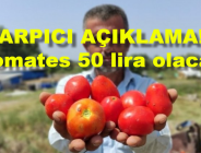 ÇARPICI AÇIKLAMA!: Domates 50 lira olacak