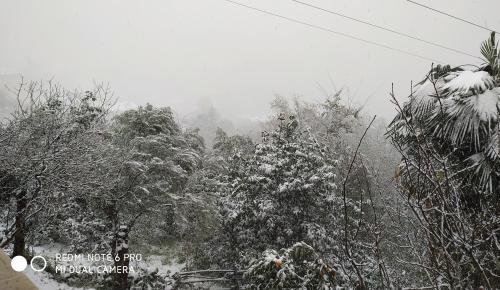 METEOROLOJİ GENEL MÜDÜRLÜĞÜ AÇIKLAMASI: Bölgemizde Kar yağışı bekleniyor