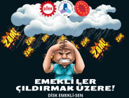 DİSK EMEKLİ-SEN | Emekliler yılı ilan edilen 2024 yılında, emekliler haftasına açlık ve sefalet içinde giriyoruz!