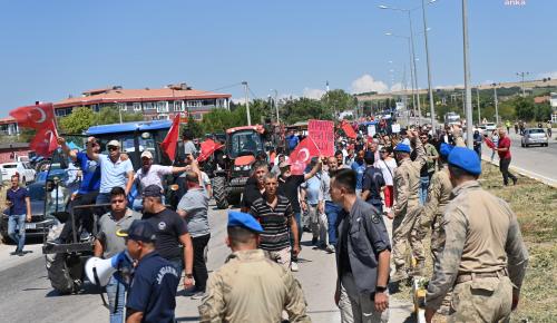 BALIKESİRLİ ÜRETİCİSİ İSYANDA | “Domatesler Tarlada Kaldı”