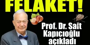 KARADENİZ’DE FINDIK VE KOKARCA ALARMI; Prof. Dr. Kapıcıoğlu Uyarıları Peş Peşe Verdi!