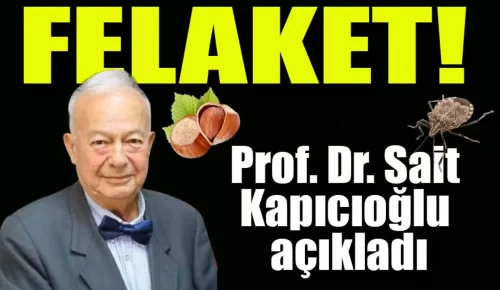 KARADENİZ’DE FINDIK VE KOKARCA ALARMI; Prof. Dr. Kapıcıoğlu Uyarıları Peş Peşe Verdi!