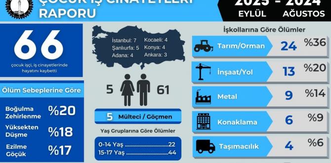 ÇOCUK İŞÇİLİK SANAYİLERE YAYILIYOR: 1 yılda 66 çocuk çalışırken hayatını kaybetti