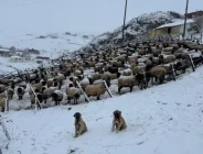 TRABZON’DA KAR KAPIYI ÇALDI | Soğuk yüzünün sahillere gösterdi