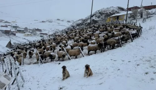 TRABZON’DA KAR KAPIYI ÇALDI | Soğuk yüzünün sahillere gösterdi