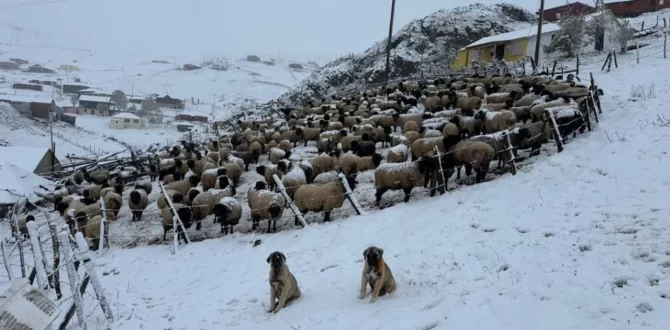 TRABZON’DA KAR KAPIYI ÇALDI | Soğuk yüzünün sahillere gösterdi