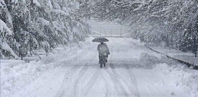 TRABZON İÇİN UYARI GELDİ! Yoğun kar yağışı…