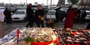 TEZGAHLARDA HAMSİ FİYATLARI EL YAKIYOR