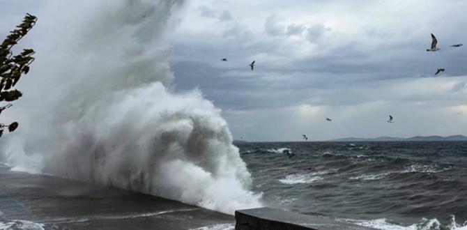 METEOROLOJİ’DEN UYARI | Doğu Karadeniz’de Kuvvetli Rüzgar ve Kısa süreli Fırtına Bekleniyor!